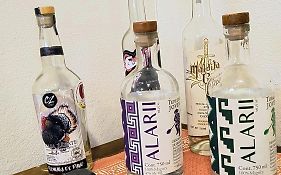 Monte Alban Y Mezcal Vakantiehuis